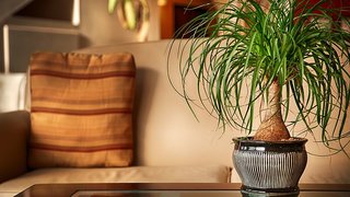 Best Western Butner Creedmoor Inn,Creedmoor>>Butner,3 star