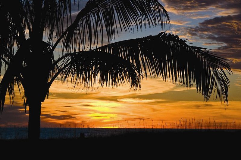 residence inn st petersburg treasure island