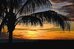 residence inn st petersburg treasure island
