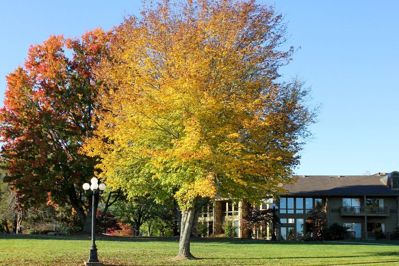 The Ridges Resort On Lake Chatuge