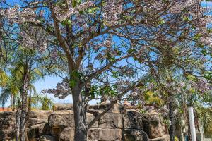 Quality Resort Siesta,Lavington>>Albury,5 star