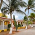 coconut inn