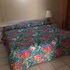 coconut inn