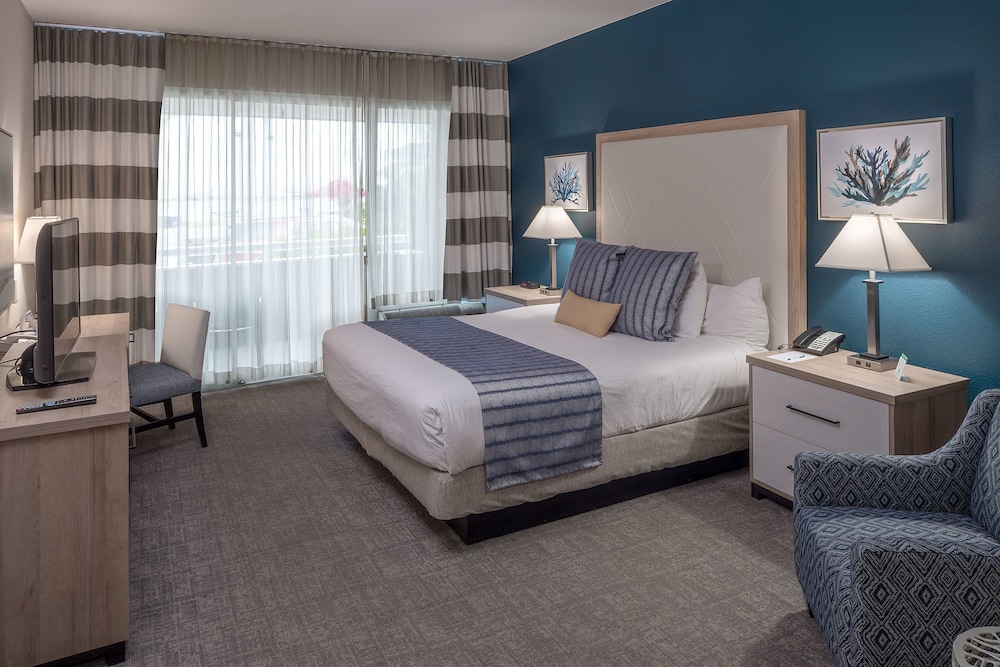 bay club hotel and marina