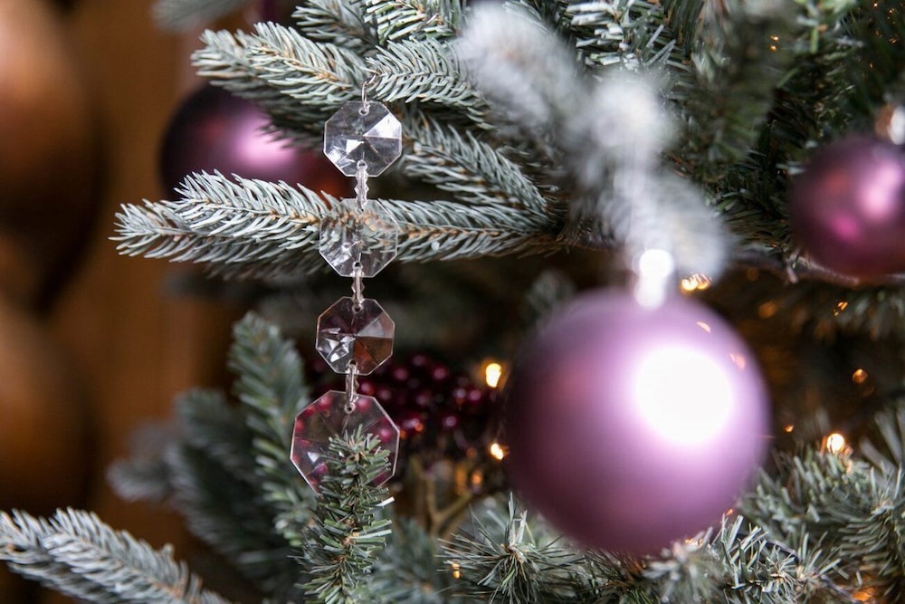 hotel de orangerie by cw hotel collection