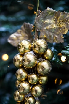 hotel de orangerie by cw hotel collection