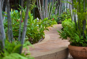 dusit princess srinakarin