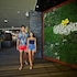 gilligans backpackers hotel and resort