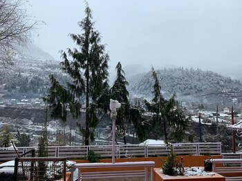 hotel golden tashi gakhil resort