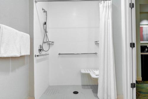 springhill suites by marriott jacksonville