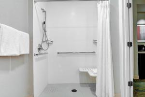 springhill suites by marriott jacksonville