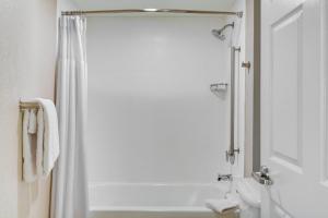 springhill suites by marriott jacksonville