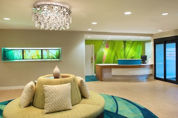springhill suites by marriott jacksonville
