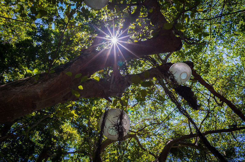 the reef playacar beach resort and spa