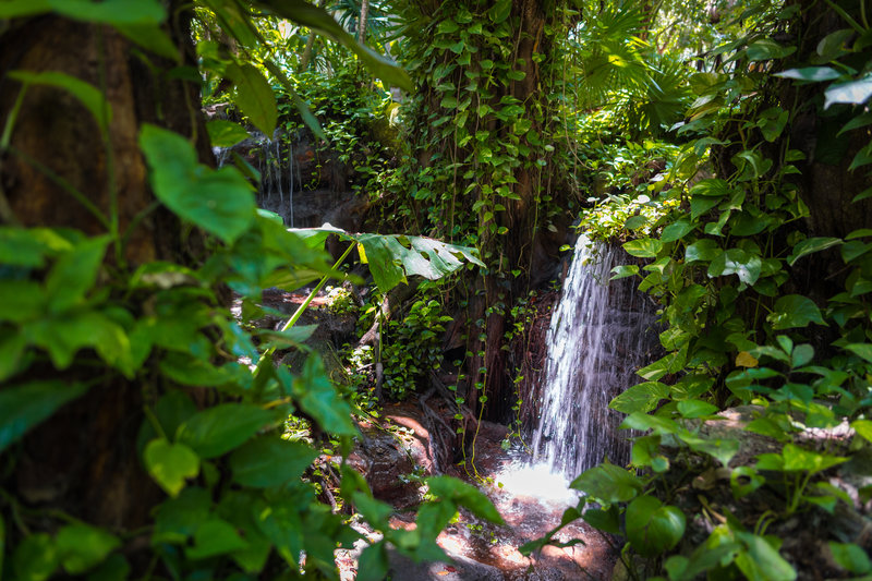 the reef playacar beach resort and spa
