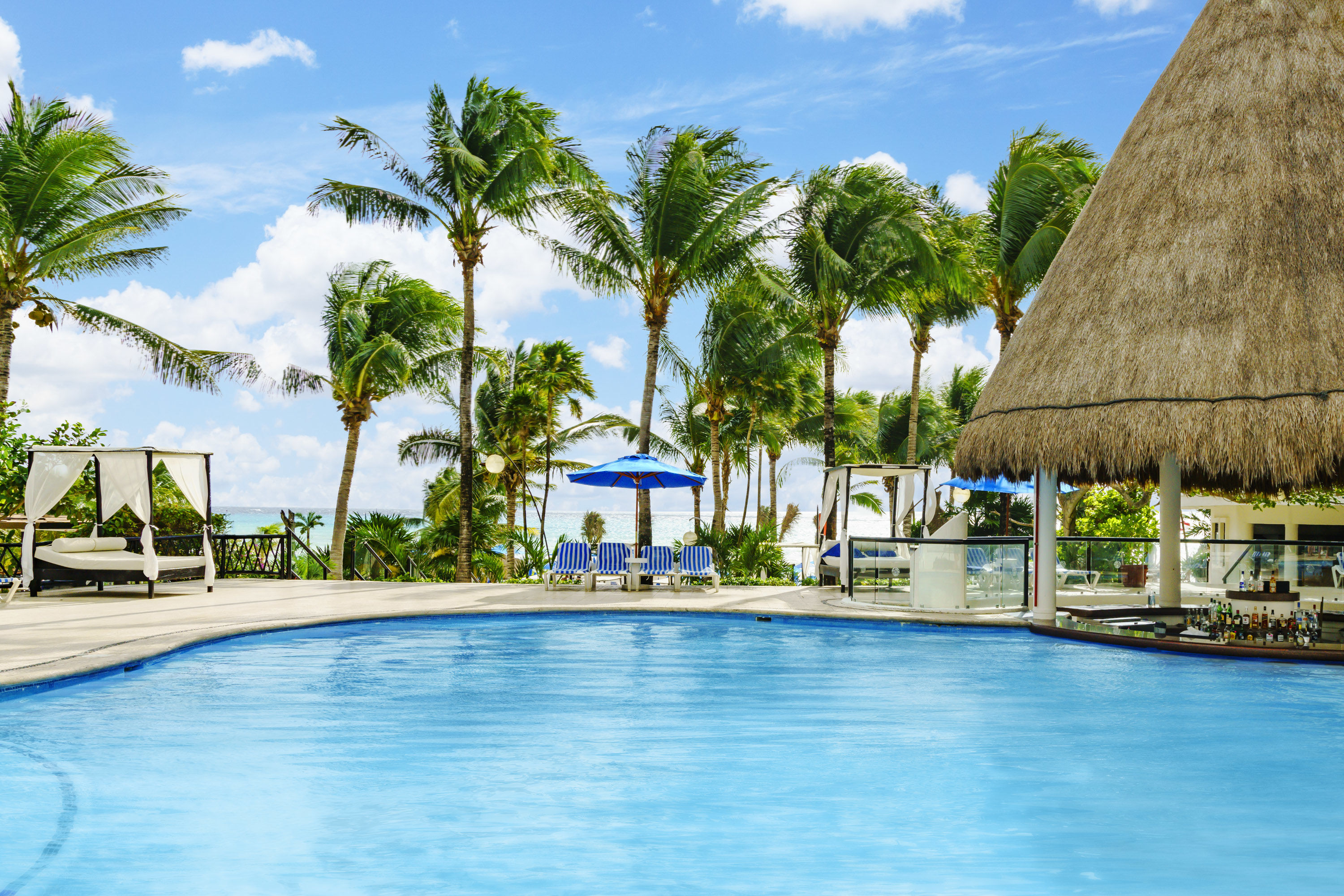 the reef playacar resort and spa optional all inclusive