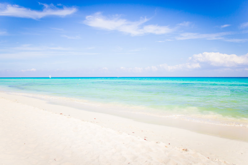 the reef playacar beach resort and spa