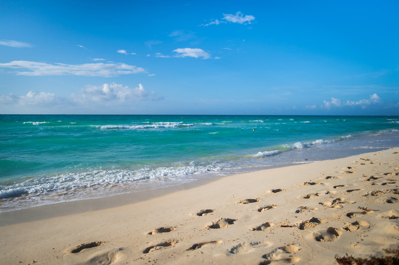 the reef playacar beach resort and spa