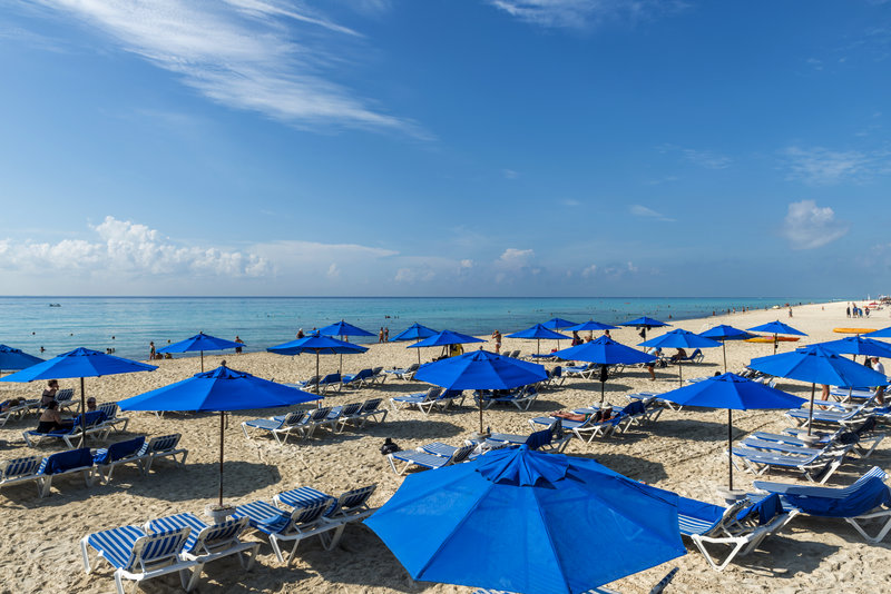 the reef playacar beach resort and spa