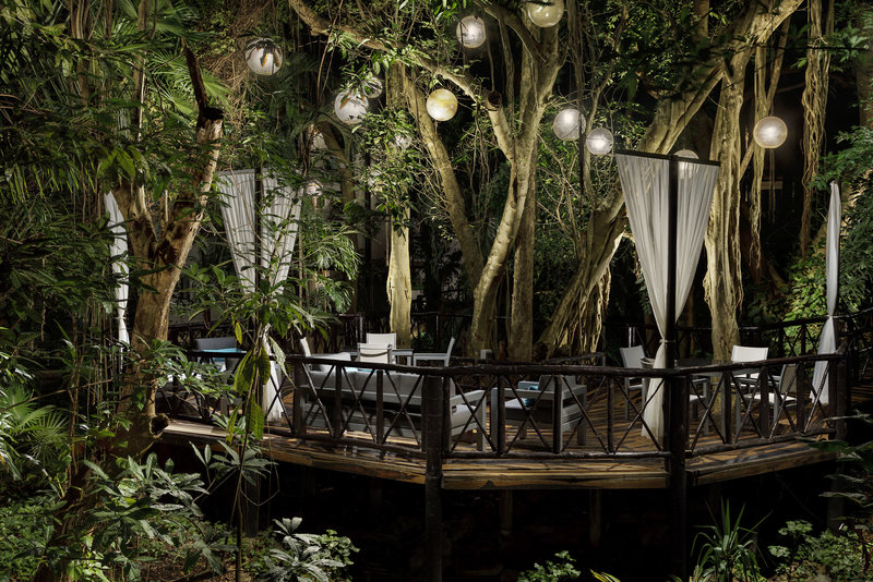 the reef playacar beach resort and spa