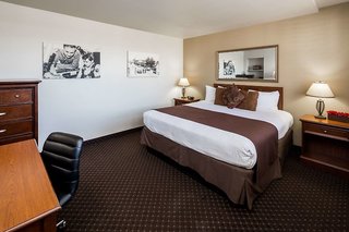 lions gate hotel