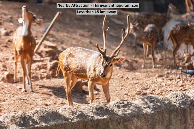 capital o 84184 pop tavern kazhakkottam