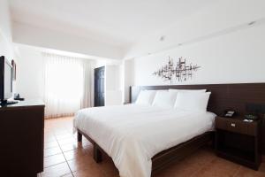 hotel presidente