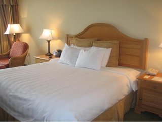 monumental hotel orlando