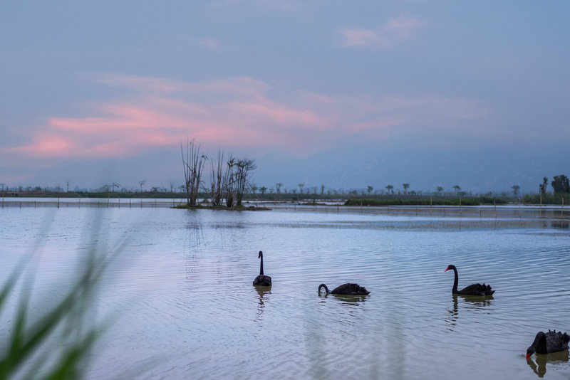 holiday inn express jiangmen yinhu bay an ihg hotel