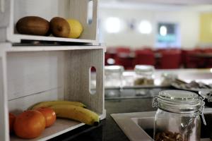 tulip inn frankfurt airport