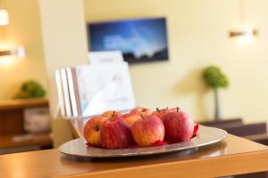 tulip inn frankfurt airport