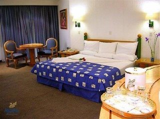 royal pedregal hotel