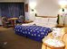 royal pedregal hotel
