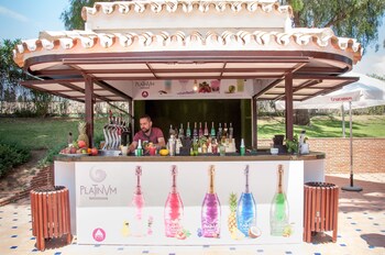 occidental puerto banus