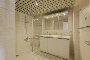 ambassador suites antwerp