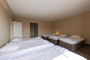 ambassador suites antwerp