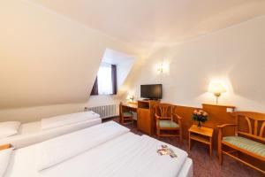 hotel ahl meerkatzen