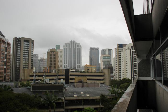 blue tree premium verbo divino