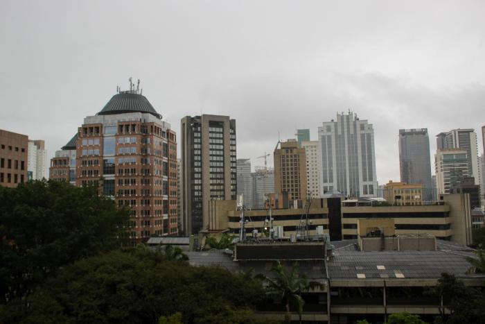 blue tree premium verbo divino