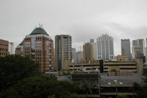 blue tree premium verbo divino