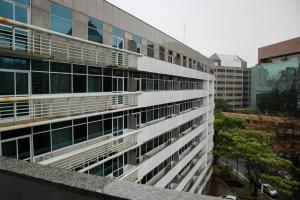 blue tree premium verbo divino