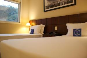 blue tree premium verbo divino