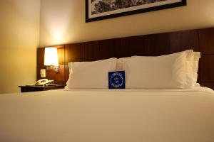 blue tree premium verbo divino