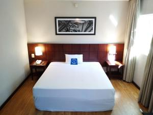 blue tree premium verbo divino