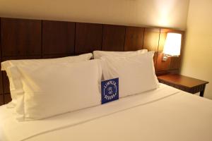 blue tree premium verbo divino