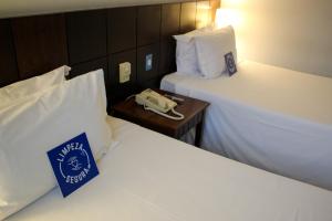 blue tree premium verbo divino