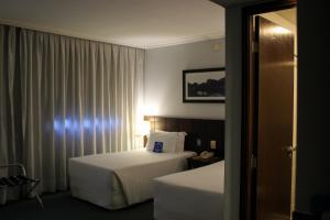 blue tree premium verbo divino