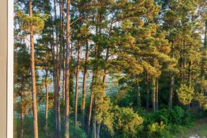 fairfield inn by marriott savannah airport