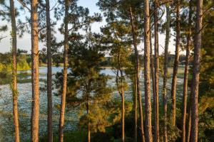 fairfield inn by marriott savannah airport