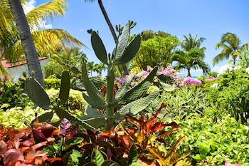 antigua village beach resort